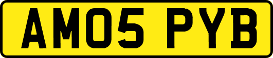 AM05PYB
