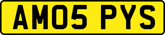 AM05PYS