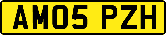 AM05PZH