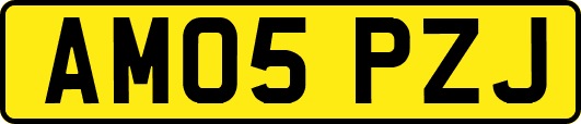 AM05PZJ