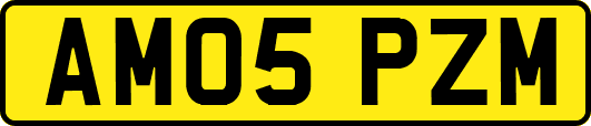 AM05PZM