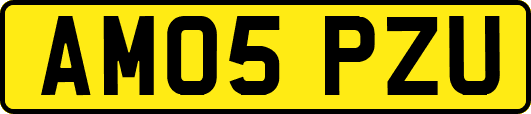 AM05PZU