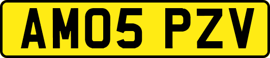 AM05PZV