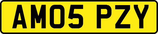 AM05PZY