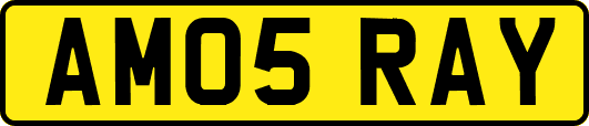 AM05RAY