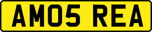 AM05REA
