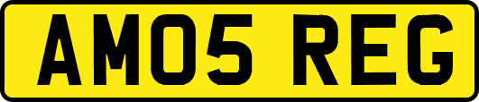AM05REG