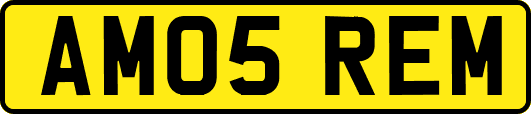 AM05REM