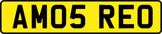AM05REO