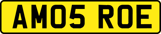 AM05ROE