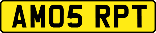 AM05RPT