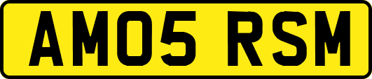 AM05RSM