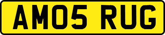 AM05RUG