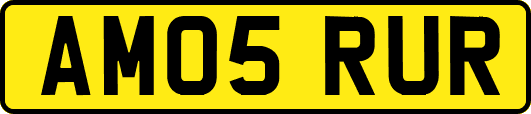 AM05RUR