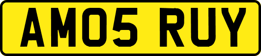 AM05RUY