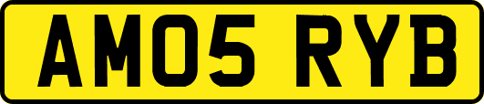 AM05RYB