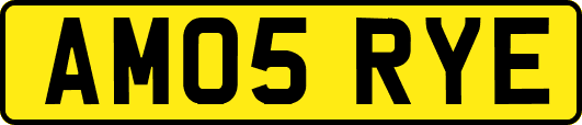AM05RYE