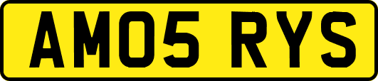 AM05RYS