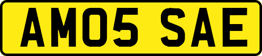 AM05SAE