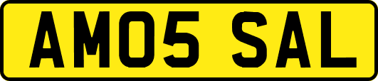 AM05SAL