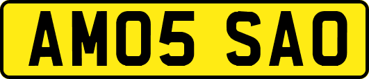 AM05SAO