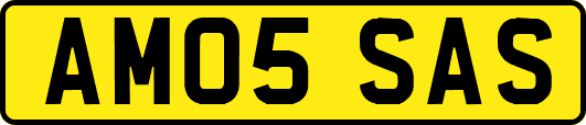 AM05SAS