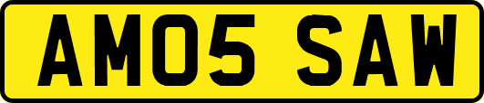 AM05SAW