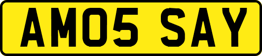 AM05SAY