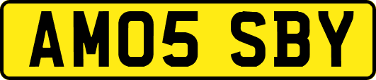 AM05SBY