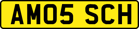 AM05SCH