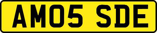 AM05SDE