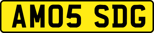 AM05SDG