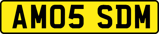 AM05SDM