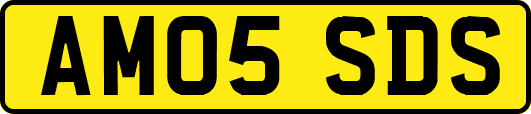 AM05SDS