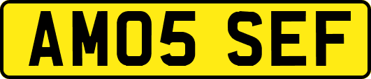AM05SEF