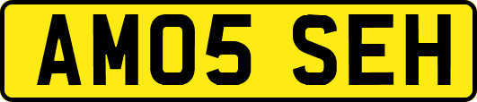 AM05SEH