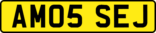 AM05SEJ