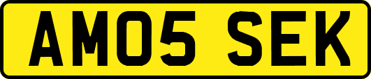 AM05SEK