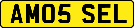 AM05SEL