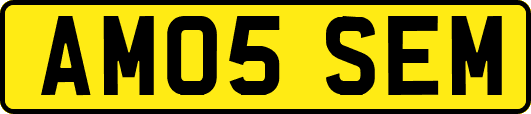 AM05SEM