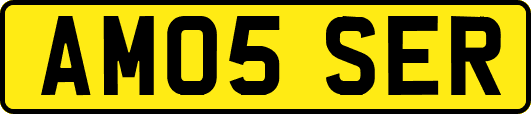 AM05SER