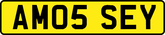 AM05SEY