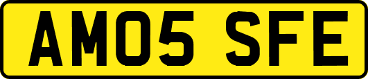 AM05SFE