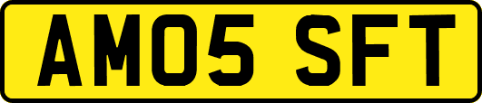 AM05SFT