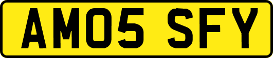 AM05SFY