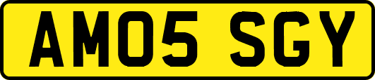 AM05SGY