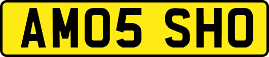 AM05SHO