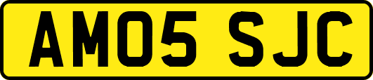 AM05SJC