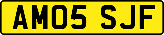 AM05SJF