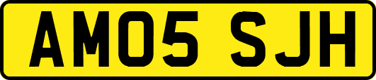 AM05SJH